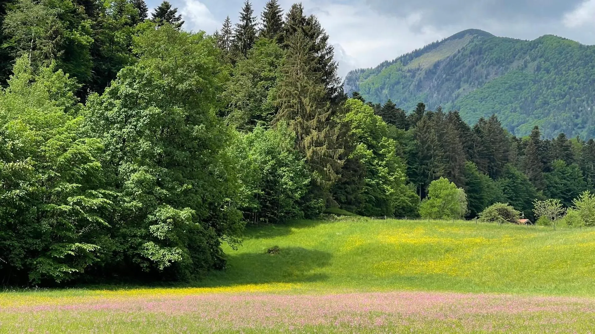 Laimgruber Hof - Naturresidenz Marquartstein